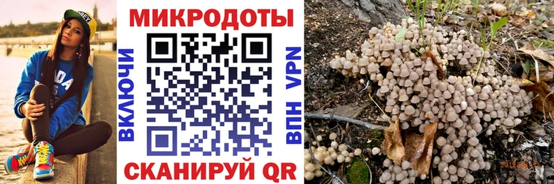 Псилоцибиновые грибы мицелий  darknet какой сайт  Отрадное 