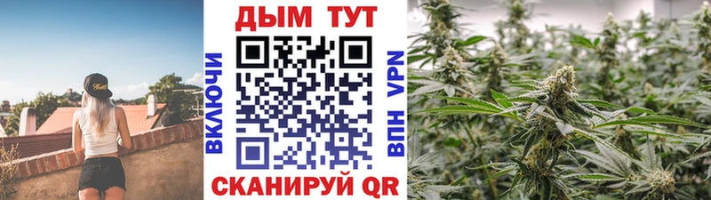 Шишки марихуана VHQ Отрадное